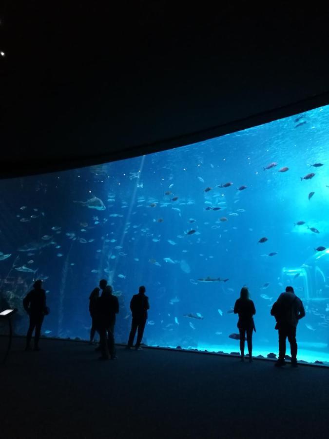 Las Canteras Aquarium Las Palmas de Gran Canaria Kültér fotó
